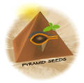 Pyramid Seeds