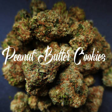 Peanut Butter Cookies feminisiert - zum Schließen ins Bild klicken