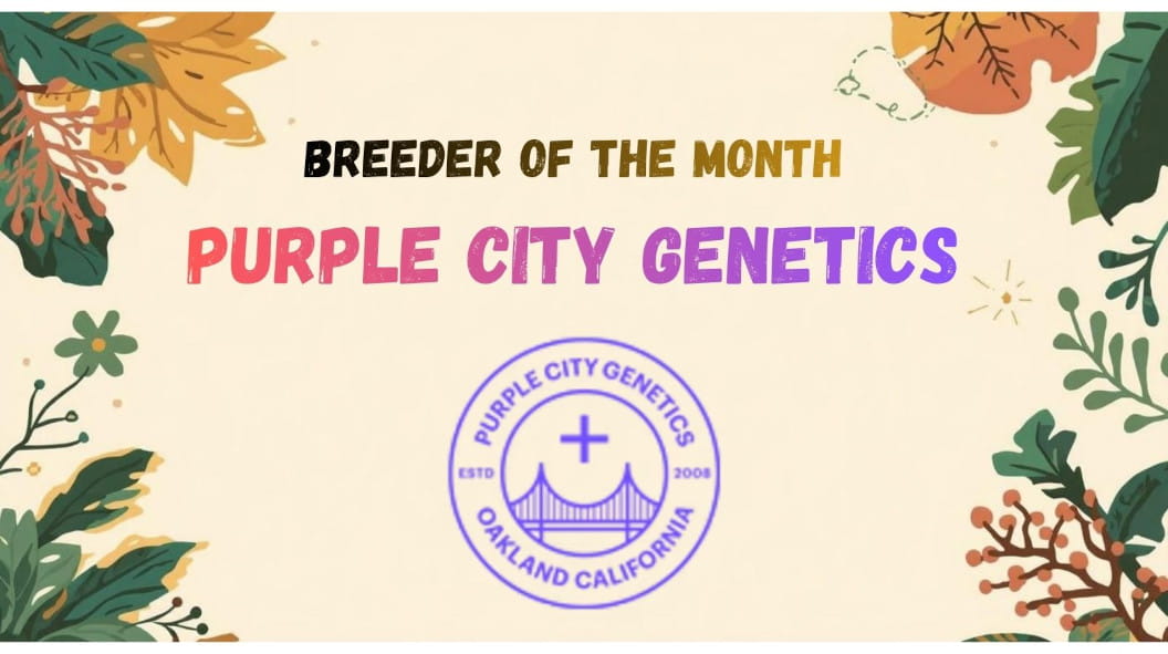 Index-Banner-Leaves_DE