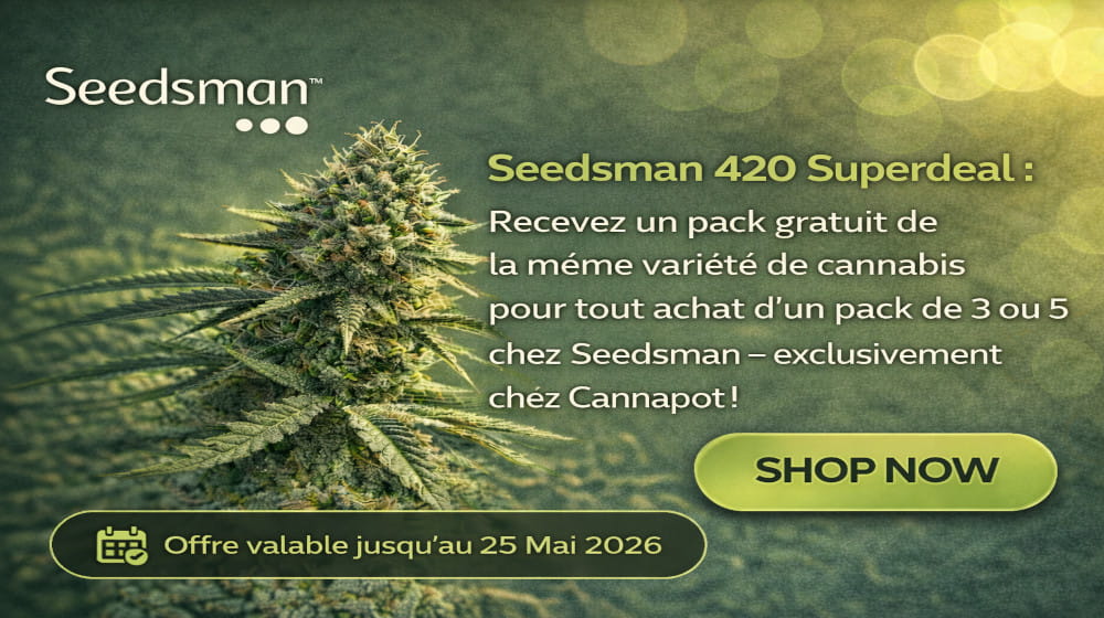 Index-Banner-Leaves_FR