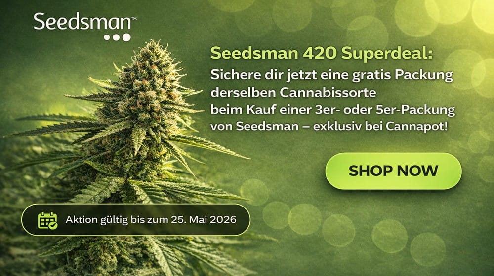 Index-Banner-Leaves_DE