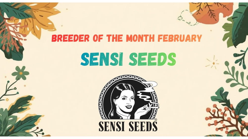 Index-Banner-Leaves_FR