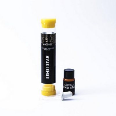 (Bild für) Sensi Star 1ml - CaliTerpene - zum Schließen ins Bild klicken
