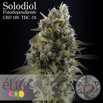 (Bild für) Solodiol CBD female - zum Schließen ins Bild klicken