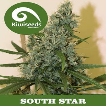 (Bild für) South Star - zum Schließen ins Bild klicken