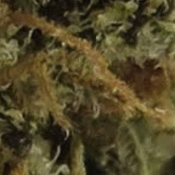 (Bild für) Strawberry Banana Zkittlez 5 reg - zum Schließen ins Bild klicken