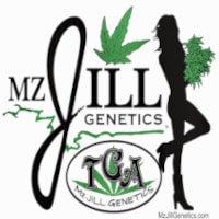 (image for) TGA MzJill Seeds