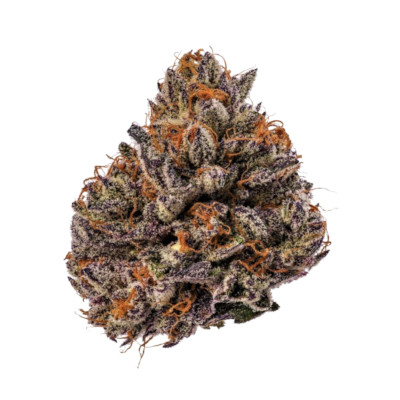 (Bild für) Tropicana Cherry Triploid F1 fem