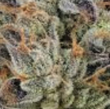 (Bild für) Zkittlez Cake 5 reg - zum Schließen ins Bild klicken