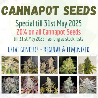 Cannapot Seeds