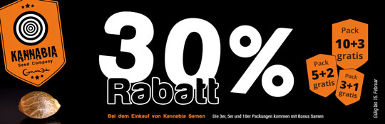 Kannabia - Sonderangebote-30 Prozent Februar 2022 Cannapot