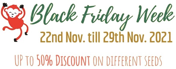 Black Friday 2021 - Sonderangebote Prozent November 2021 Cannapot