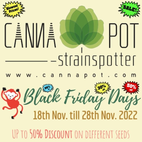 Cannapot Black Friday 2022 Hanfsamen Weedseeds