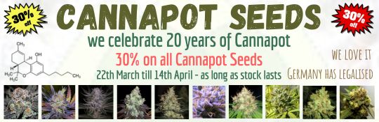 20 years of Cannapot Seeds