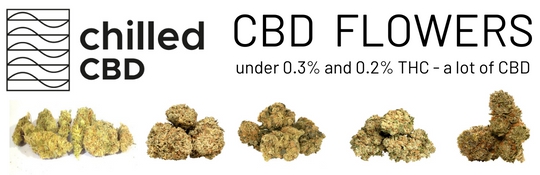 Chilled CBD - fleurs de cbd - marijuana légale