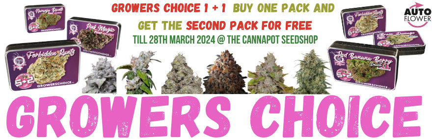 Growers Choice spring march special 2024 - cannapot
