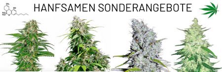 hanfsamen-sonderangebote-cannabissamen-verbilligt-bestellen