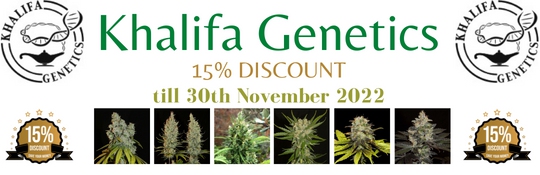 Khalifa - Sonderangebote-15 Prozent November 2022 Cannapot