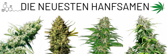 die-neuesten-hanfsamen-bestellen-im-hanfshop-von-cannapot