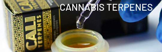 order-cannabis-terpenes-online-cannapot-marihuana-terpen