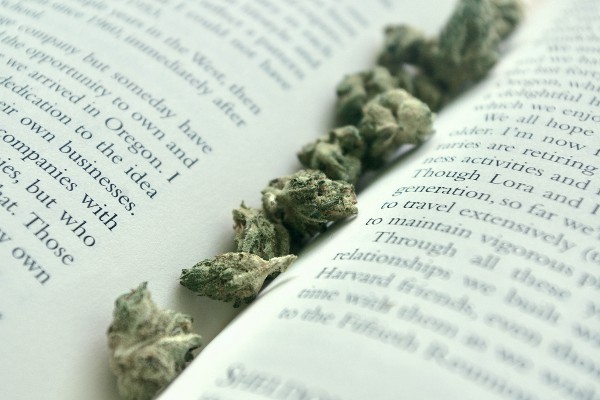 studien-zu-hanf-und-cannabis-anbau